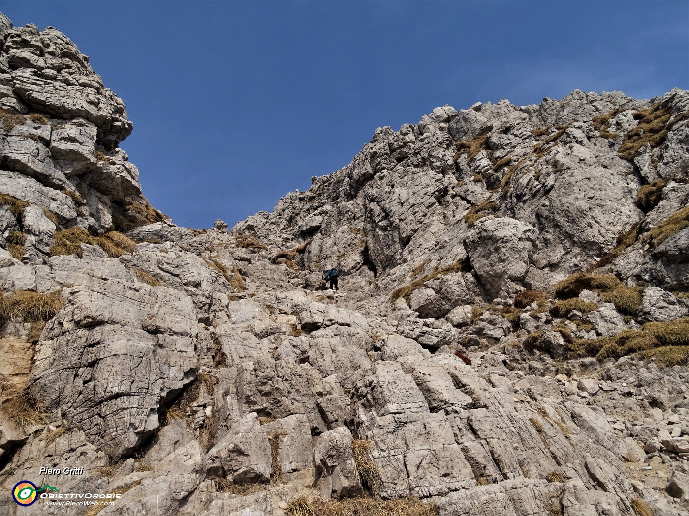 28 Ed ora si rampa a piacere nel canalone per la selletta di Val Scarettone.JPG